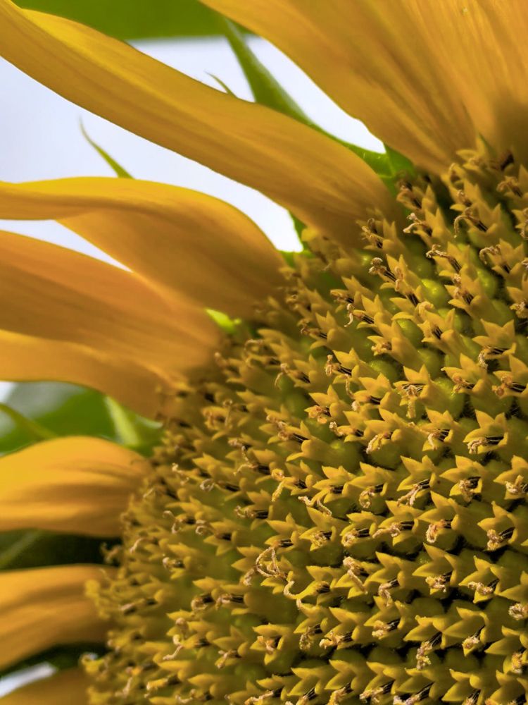 Photograph by Людмила Григорьева