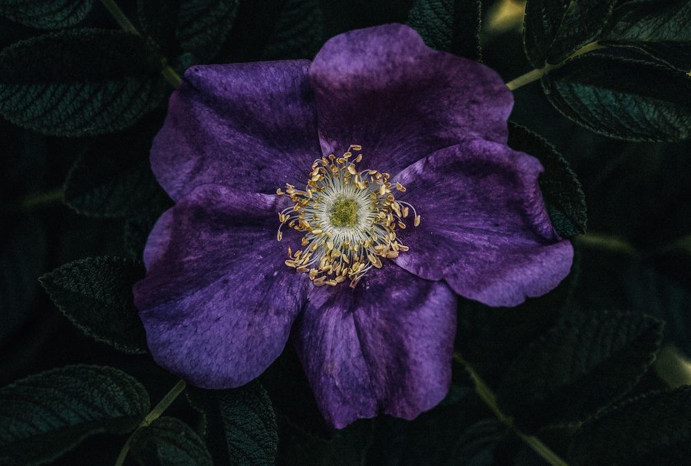 Photograph by Leanid Kulpo