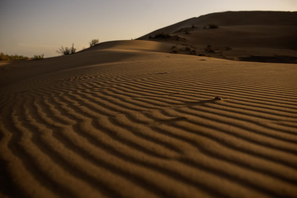 Photograph by Валентина Тарасова