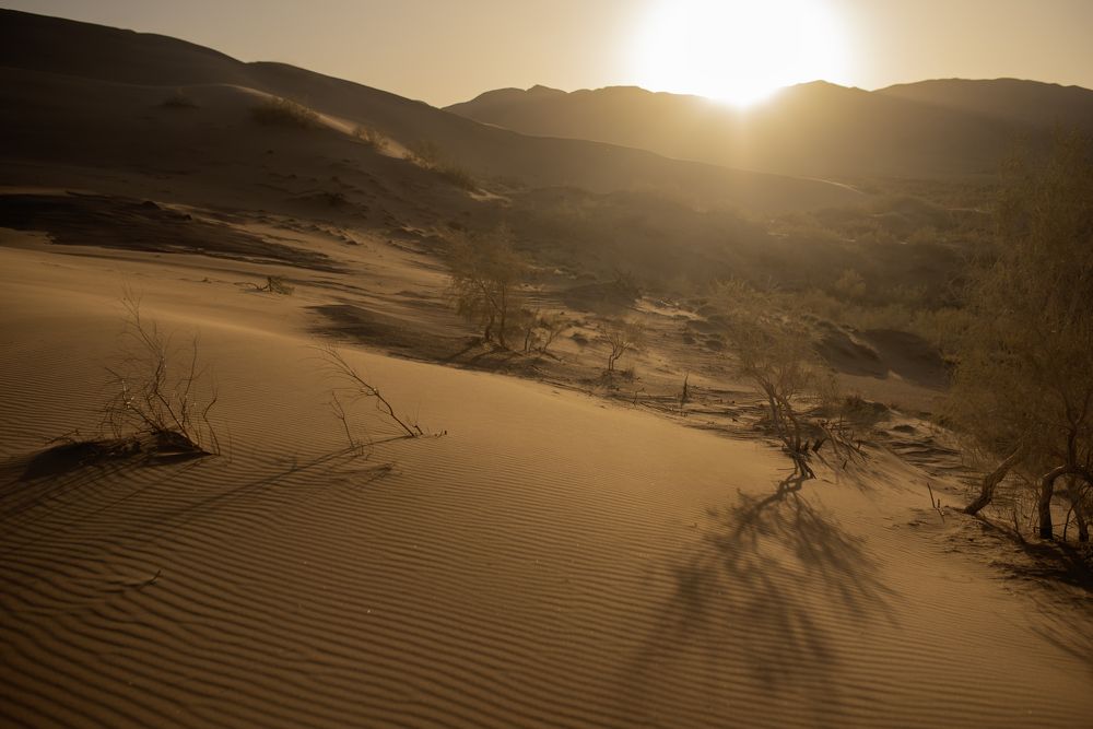 Photograph by Валентина Тарасова