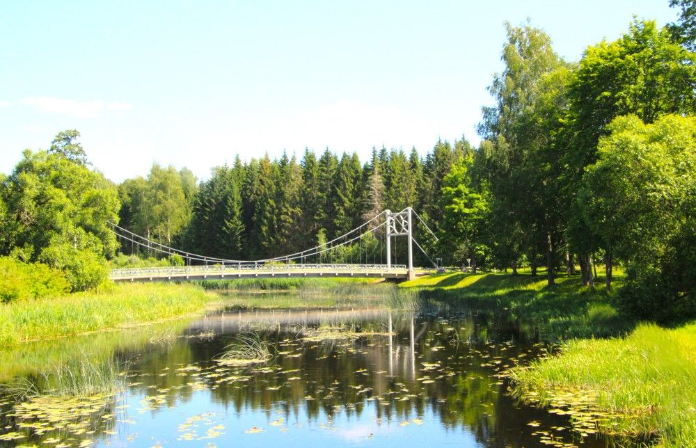 Photograph by Anna Baykova