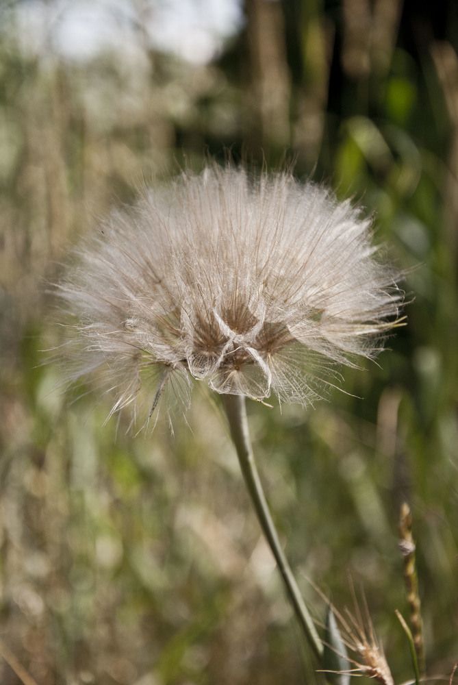 Photograph by Екатерина @Arigata