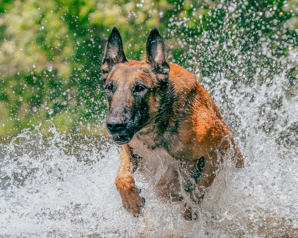 Photograph by Сергей Жиркевич