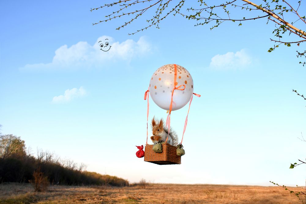 Пять минут, полёт нормальный