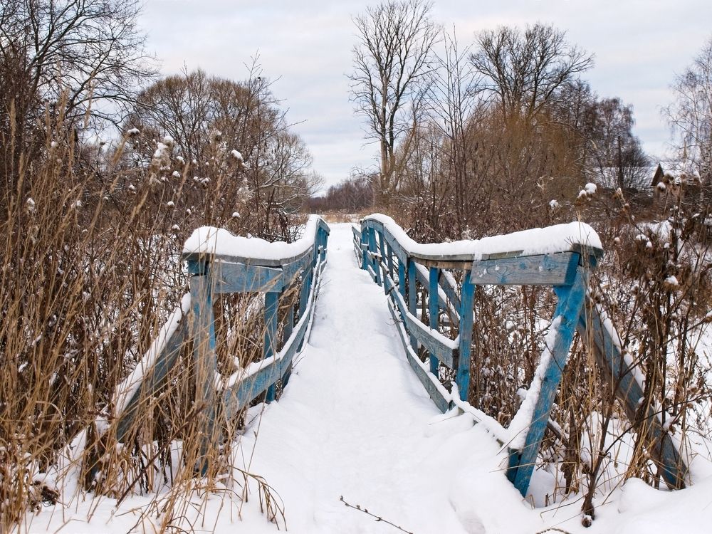 Photograph by Илюшечкина Екатерина