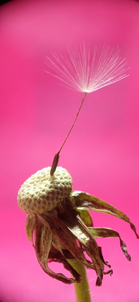 Фотография автора Mahdi Mohammadi