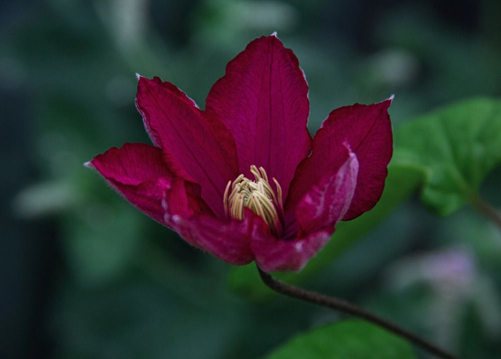 Photograph by Александра