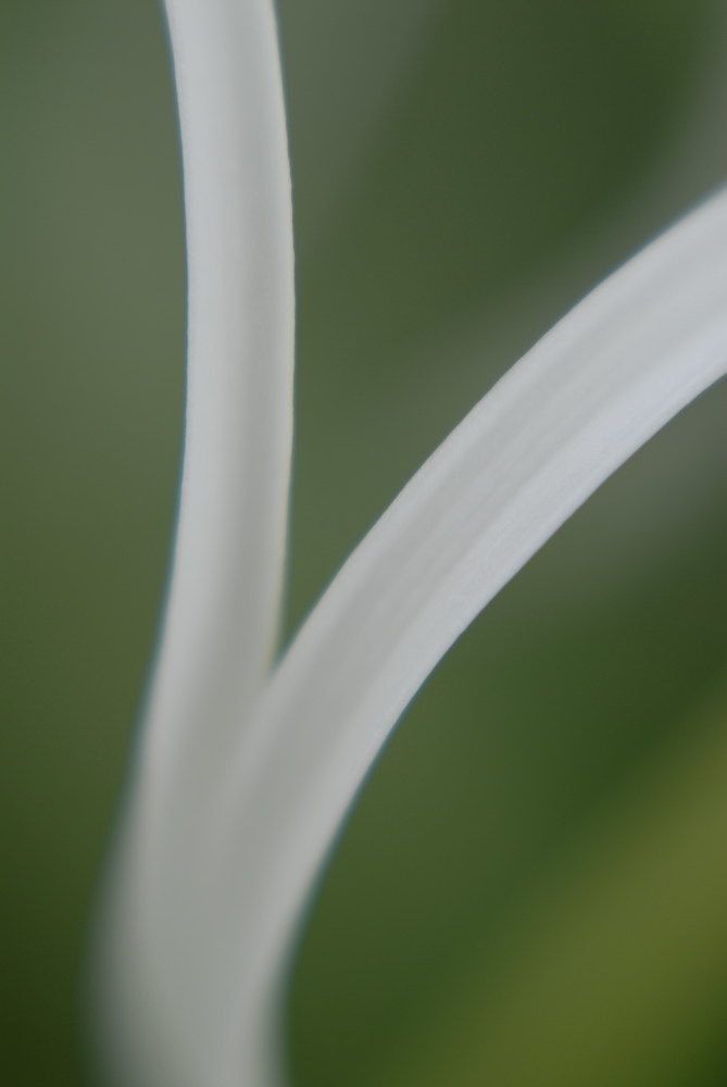 Photograph by Maja Djuric