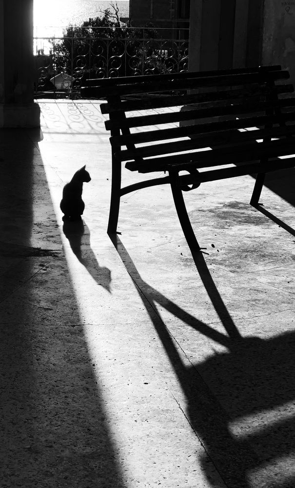 Photograph by Мария Бессмертная