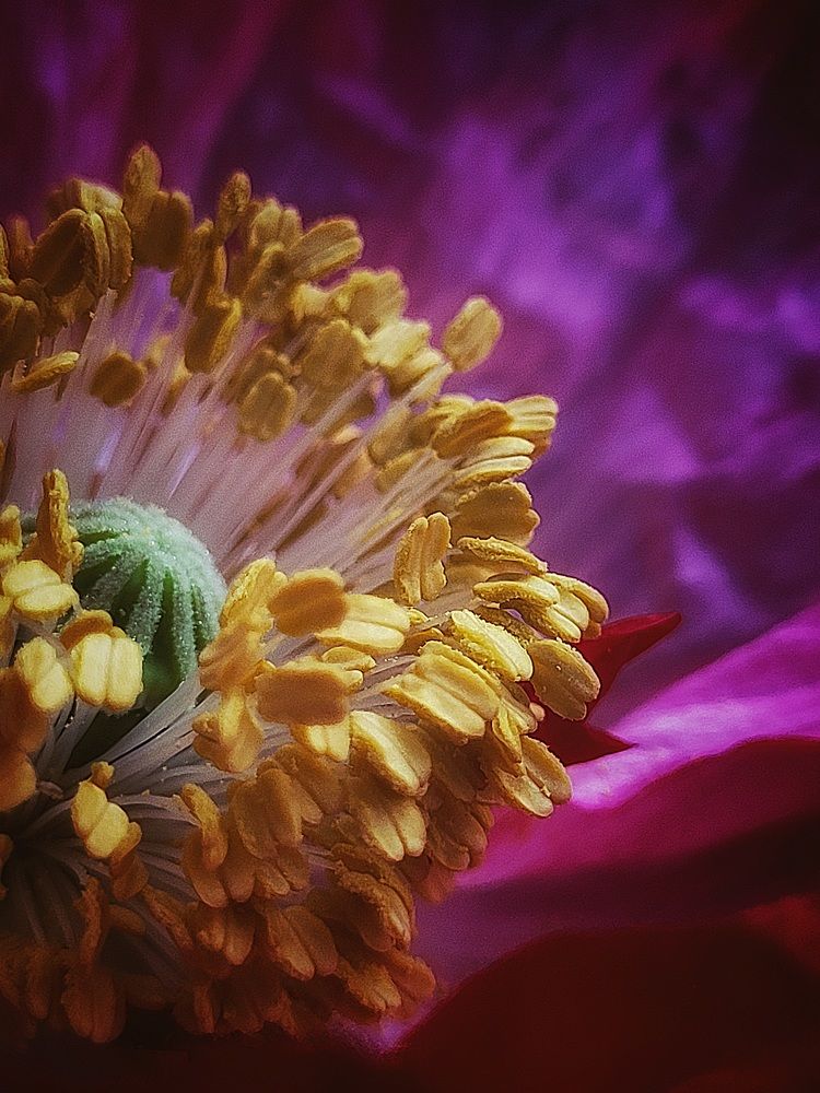 Photograph by Елена Иванова