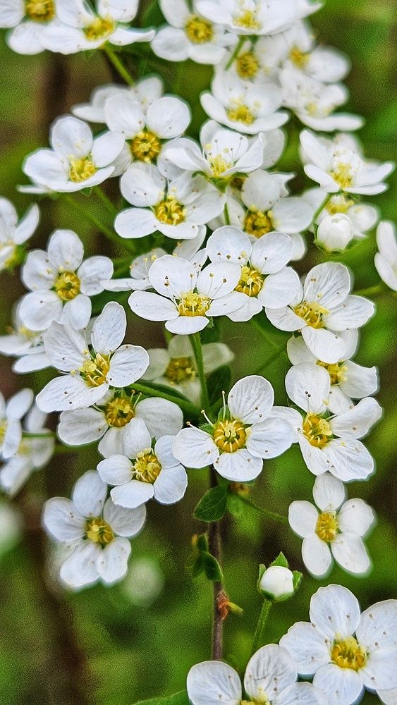 Photograph by Оксана Новикова