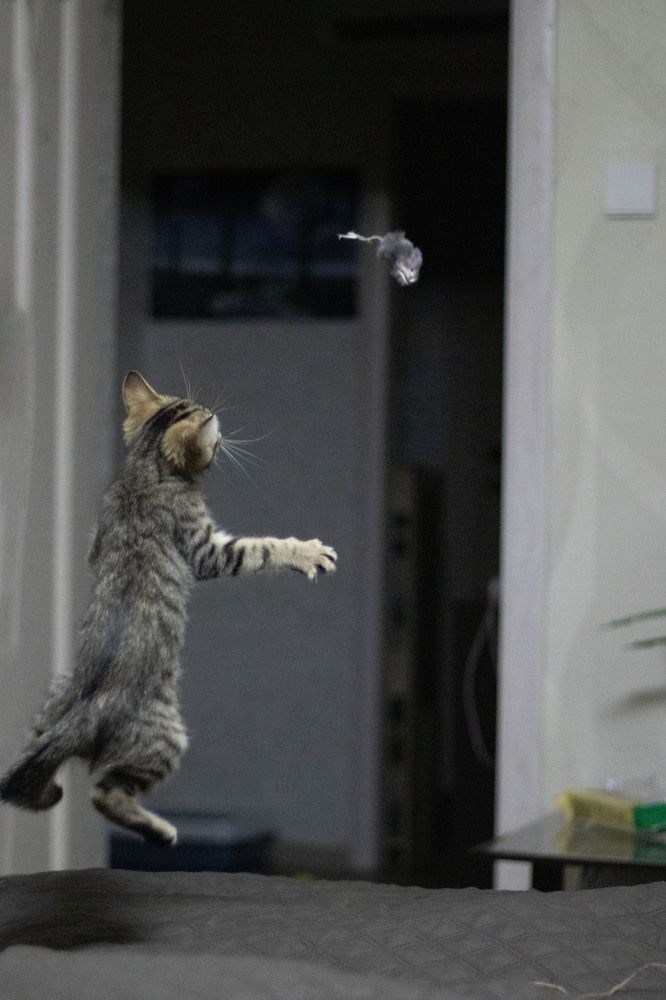 Photograph by Ксения Золотарь