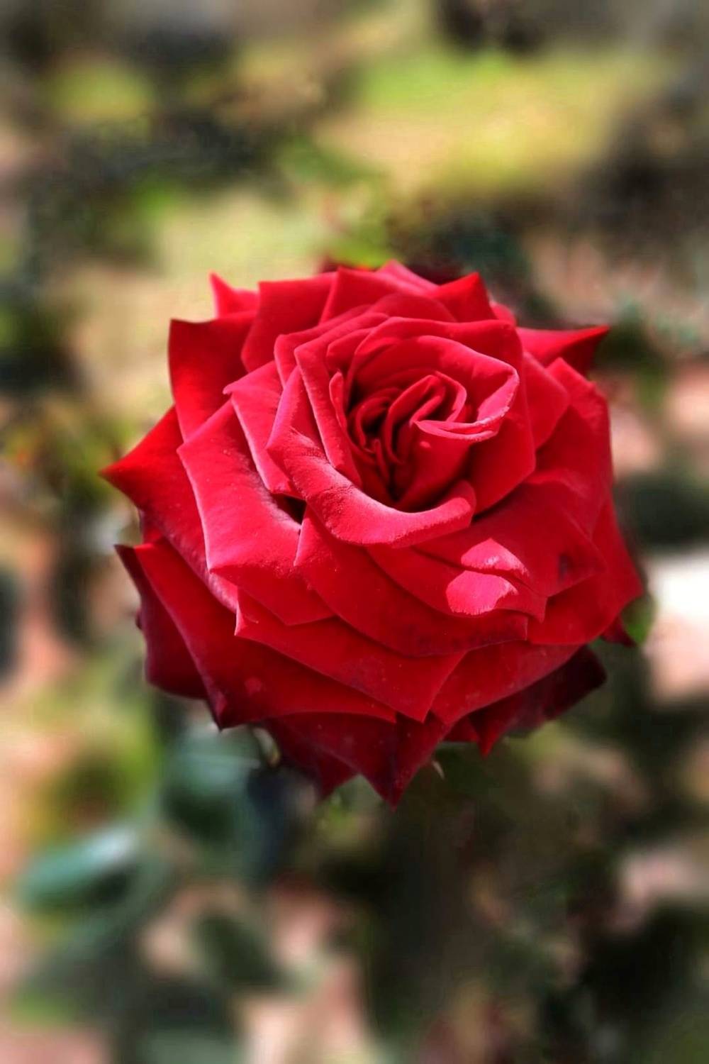 Фотография #10889562