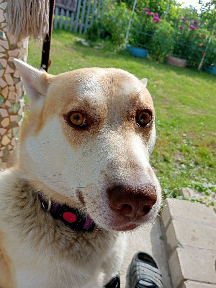 Photo #10889564