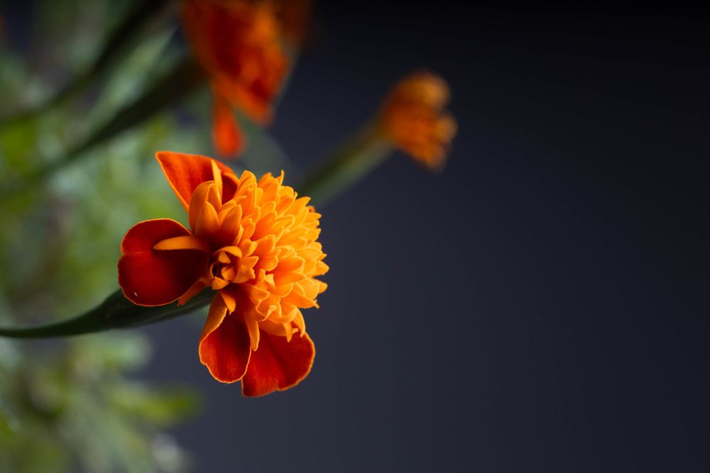 Photograph by Антон Скоморохов