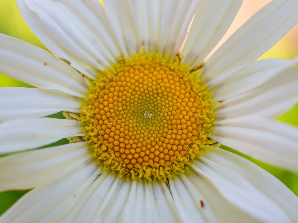 Photograph by Pucs Fongabe