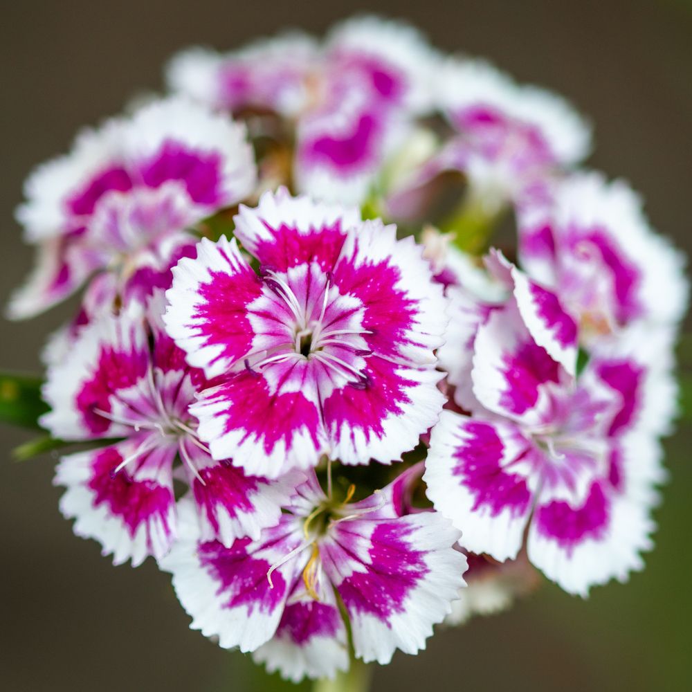 Photograph by Pucs Fongabe