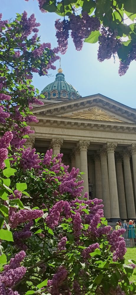 Photograph by Наталья Шраменко