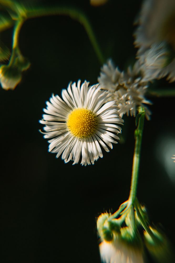 Photograph by Олеся Бакалина