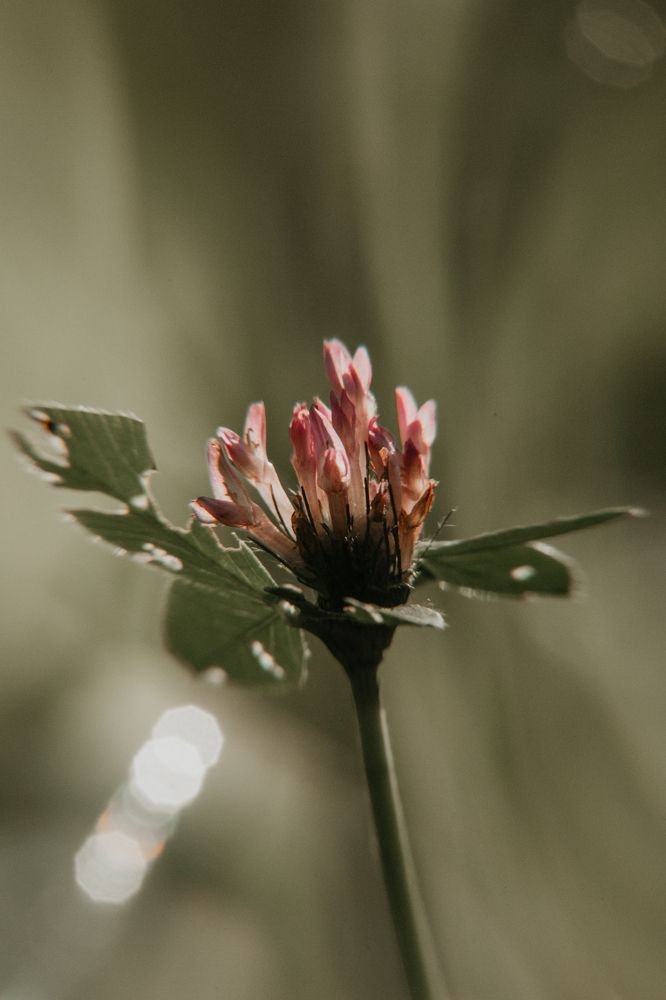 Photograph by Олеся Бакалина