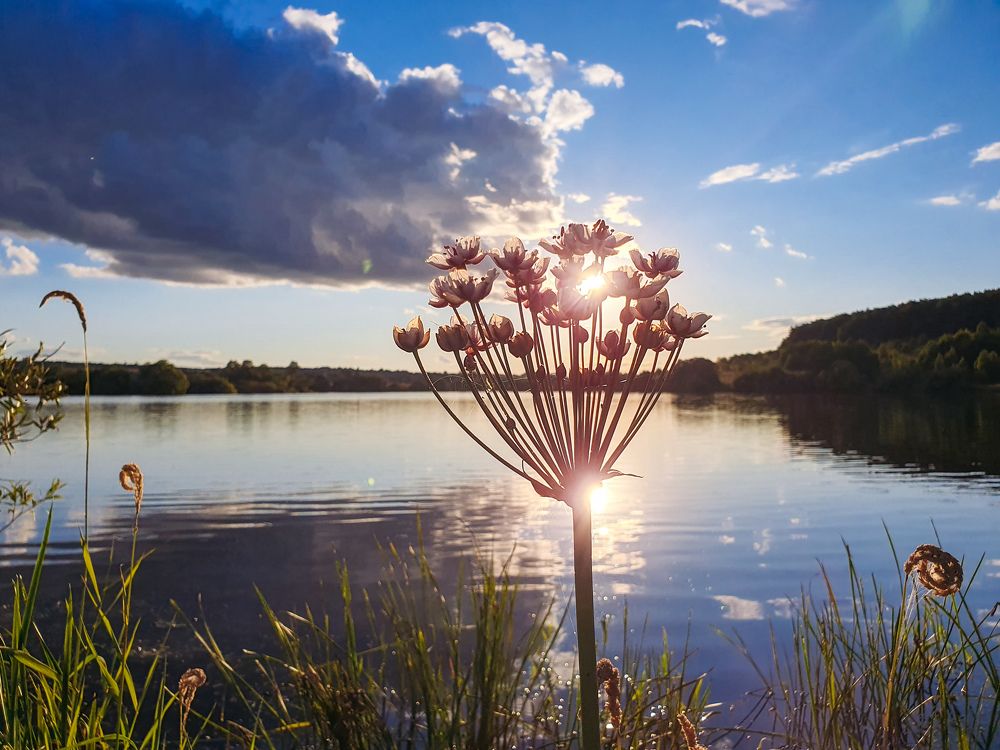 Photograph by Олег Титкин