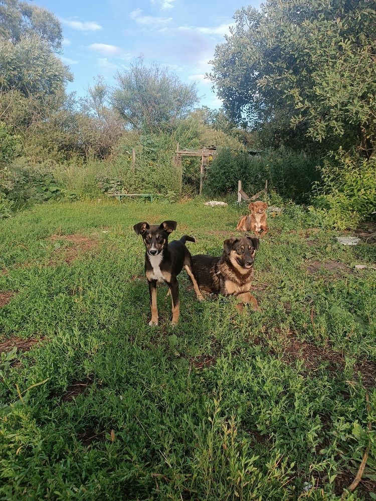 Photograph by Ксения Уварова