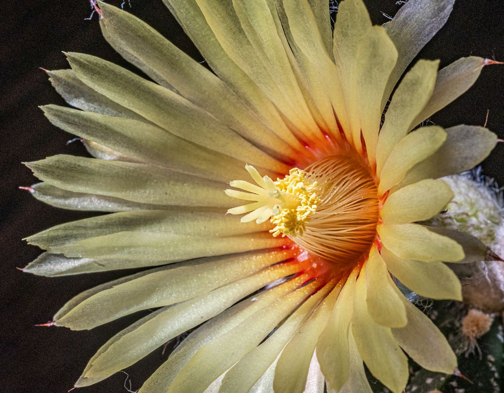 Photograph by Савчук Сергей