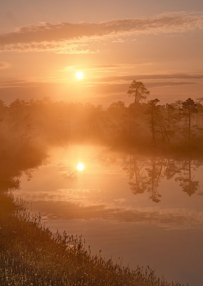 Фотография автора Ковалев Максим