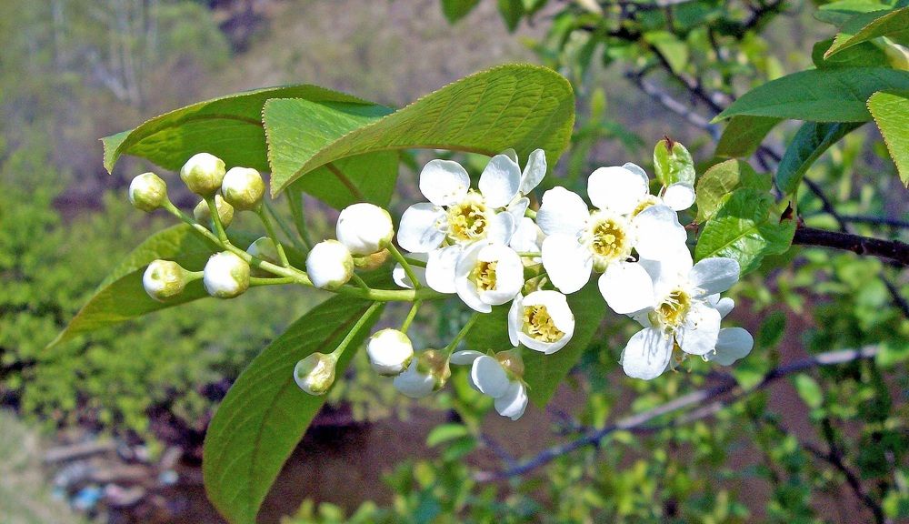 Photograph by Мигун Александра