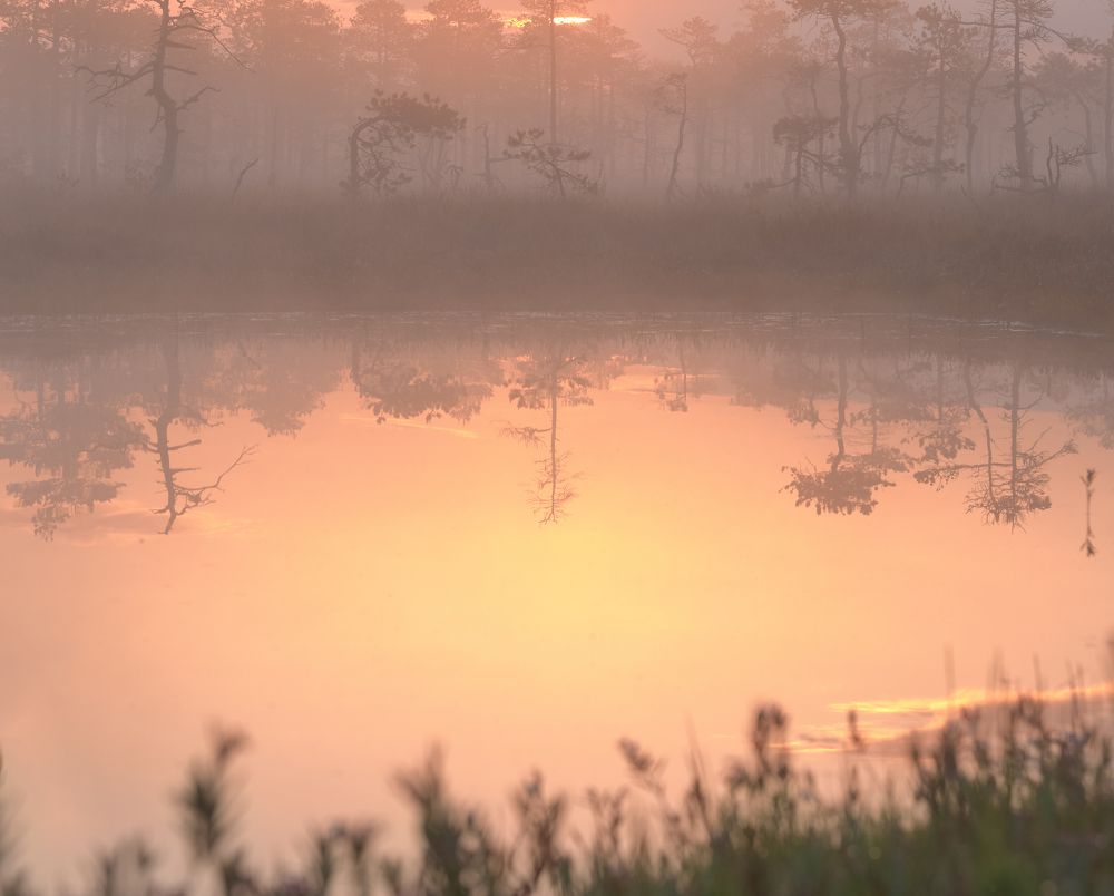 Фотография автора Ковалев Максим