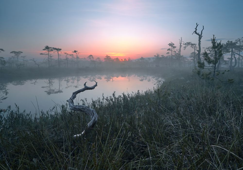 Фотография автора Ковалев Максим