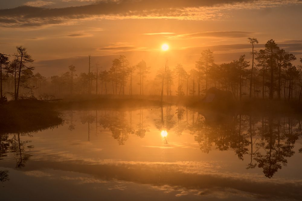 Фотография автора Ковалев Максим