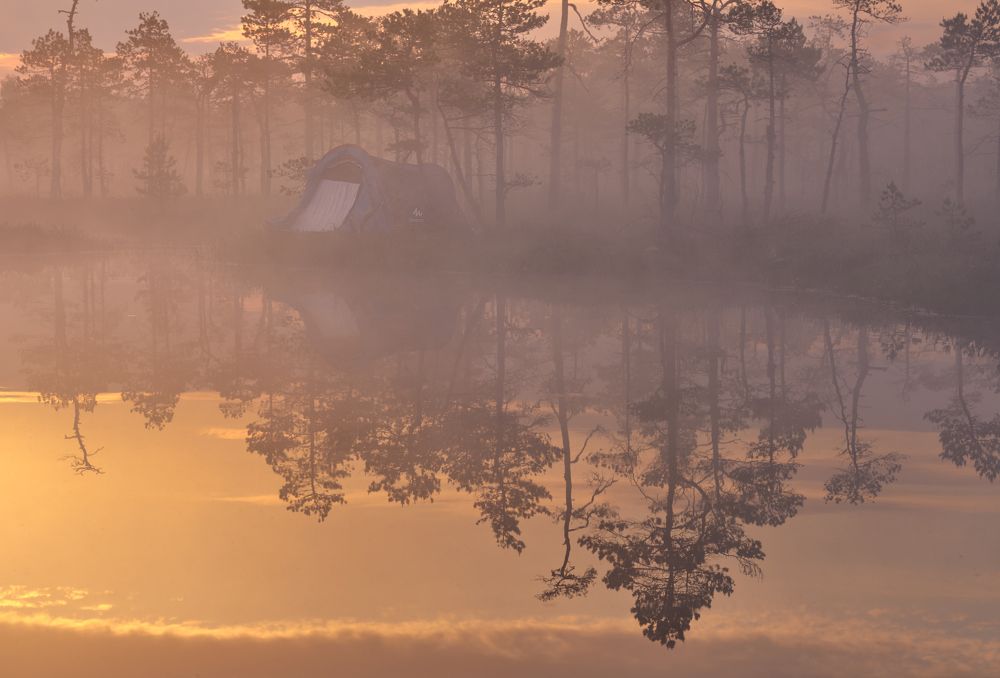 Фотография автора Ковалев Максим