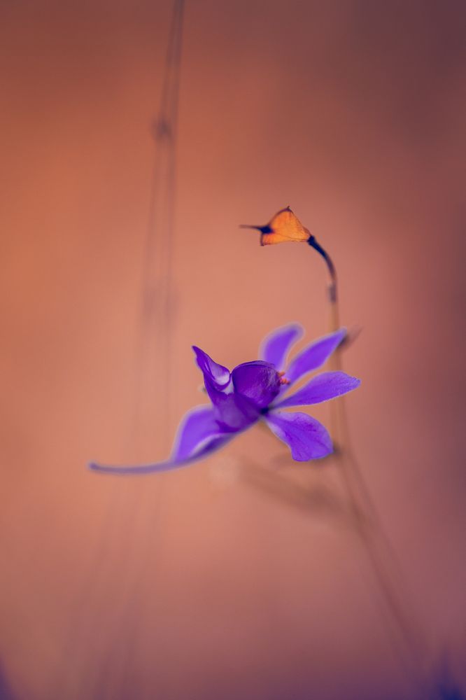 Photograph by Игорь Толкачев