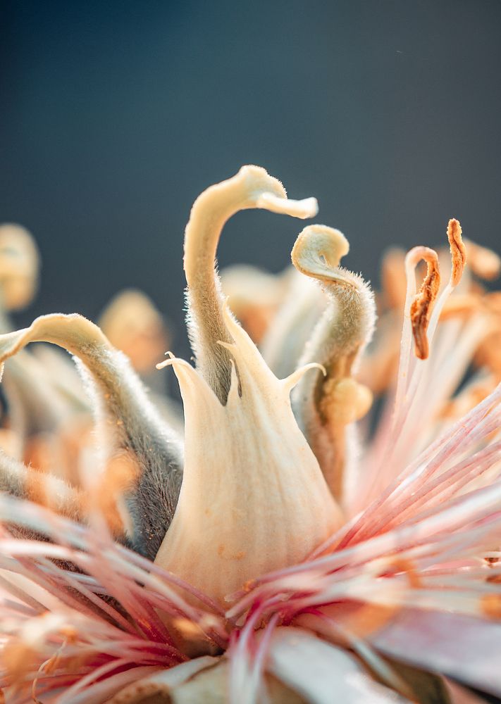 Photograph by Ольга Анисимова