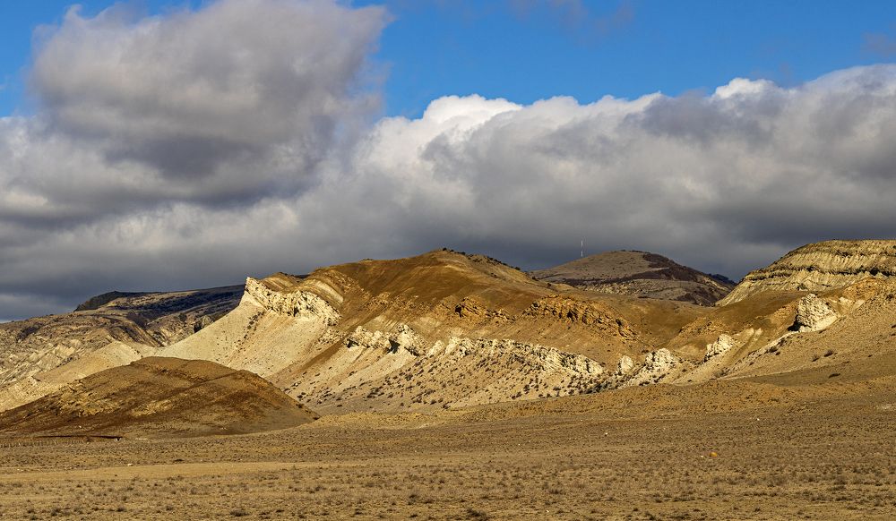 Photograph by Alex Kalpus