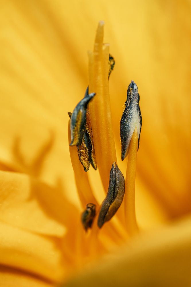 Фотография автора Ольга Анисимова