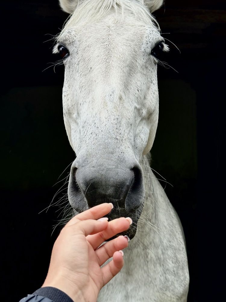 Photograph by Ольга Леоненко