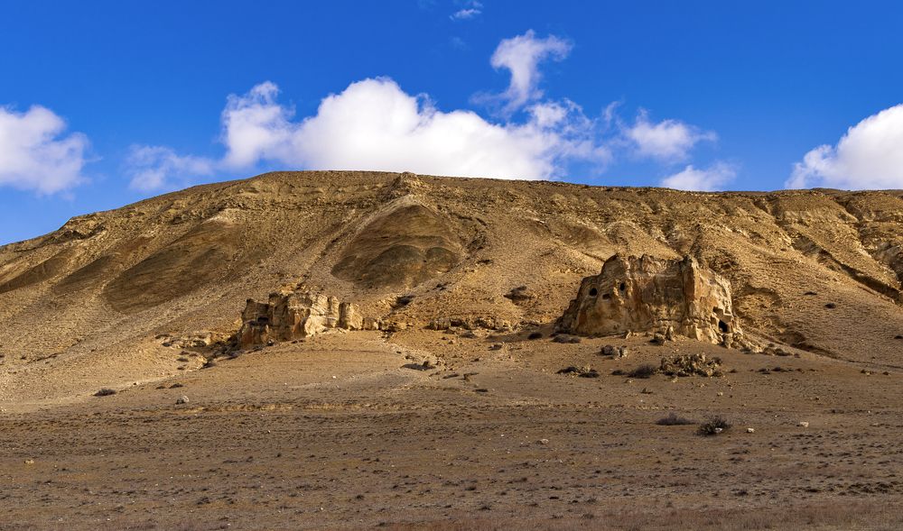 Photograph by Alex Kalpus