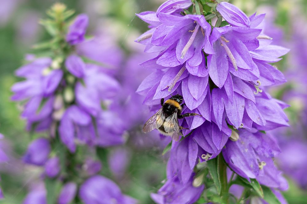 Photograph by Татьяна Бокарева