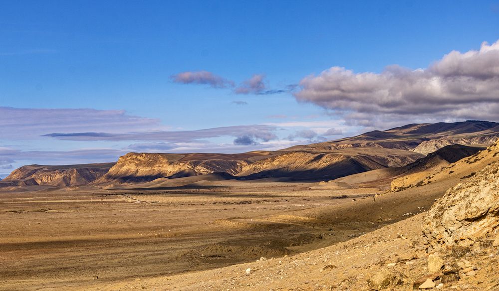 Photograph by Alex Kalpus