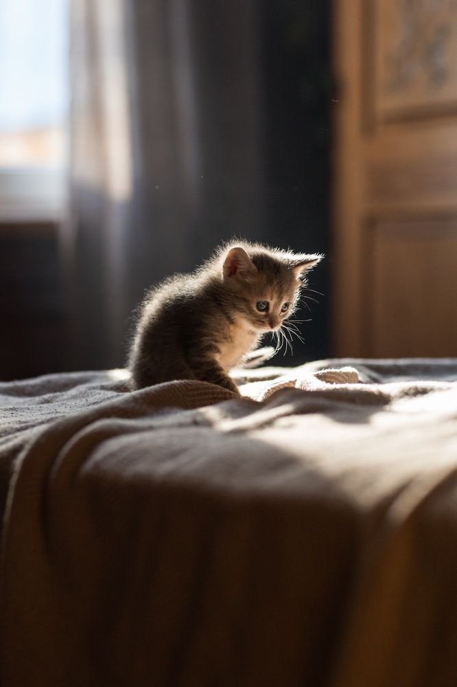 Photograph by Олеся Бакалина