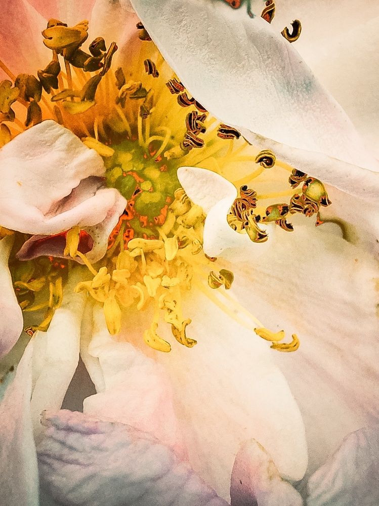 Photograph by Татьяна Олефиренко