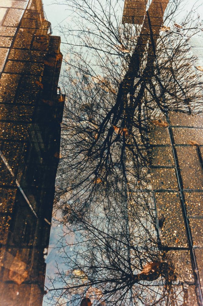 Photograph by Елена Шабельникова