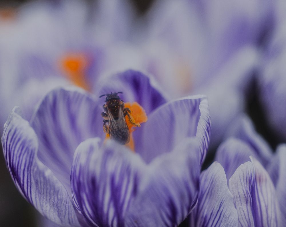 Photograph by Алексей Широбоков