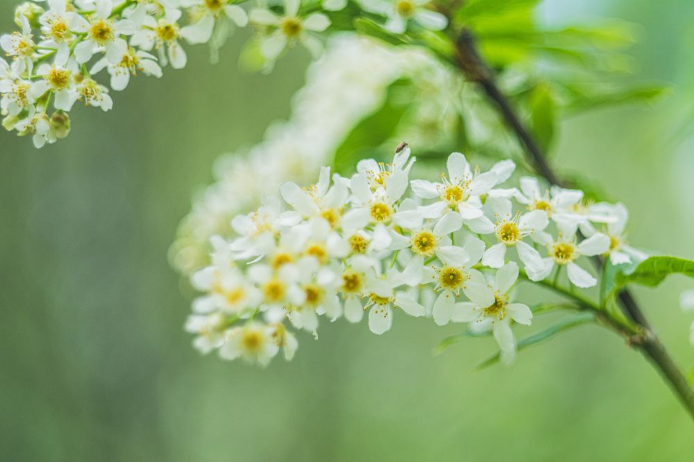 Фотография автора Максим Штормов