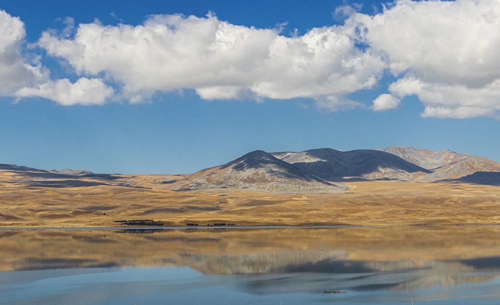 Photograph by Alex Kalpus