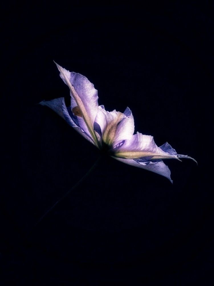 Photograph by Александра Кропивка