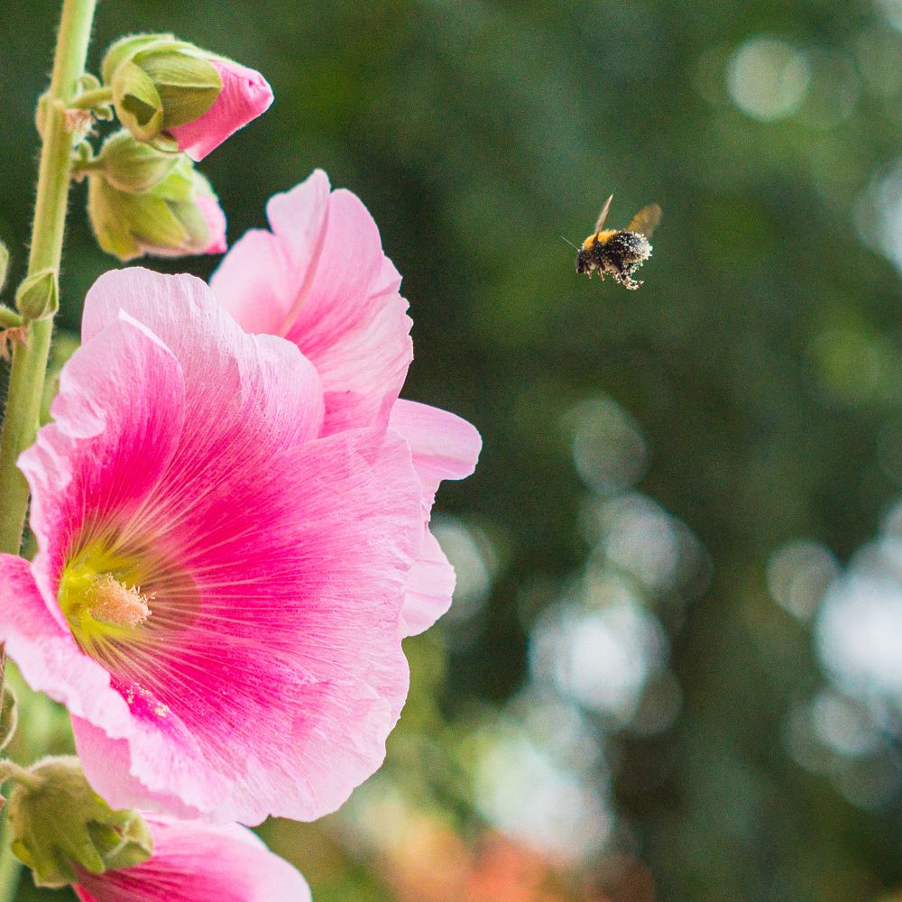 Photograph by Александр Потапов