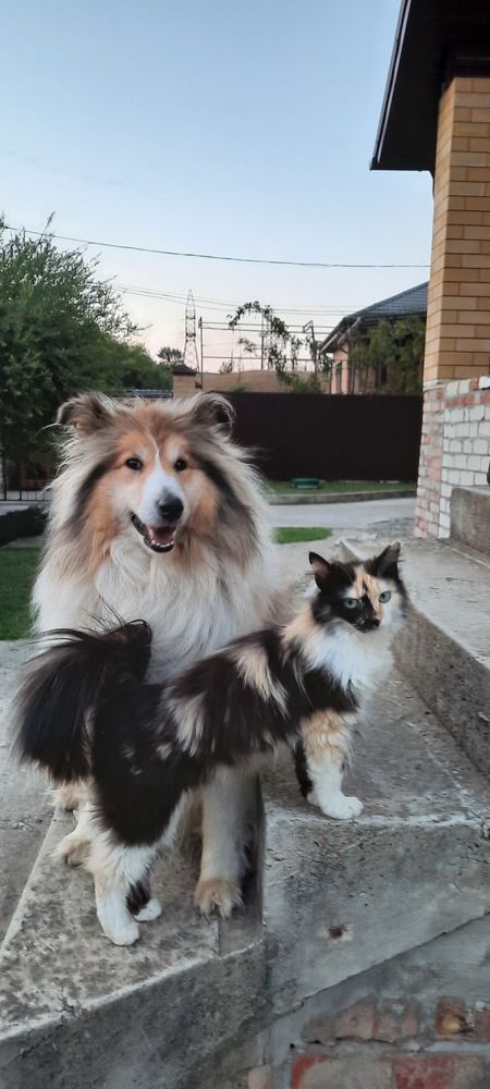 Photograph by Елена Валерьевна